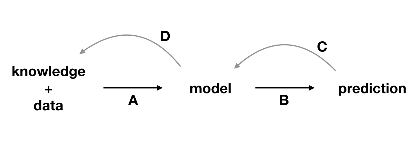 Explainability techniques allow strengthening the feedback extracted from a model. A, data and domain knowledge allow building the model. B, predictions are obtained from the model. C, by analyzing the predictions, we learn more about the model. D, better understanding of the model allows better understanding of the data and, sometimes, broadens domain knowledge.